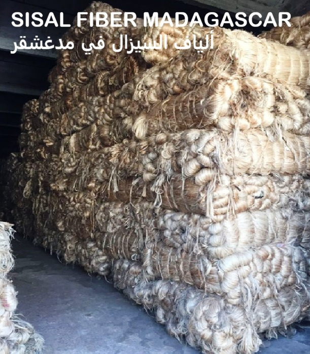 Toliary-II β Sisal fibre harvest area