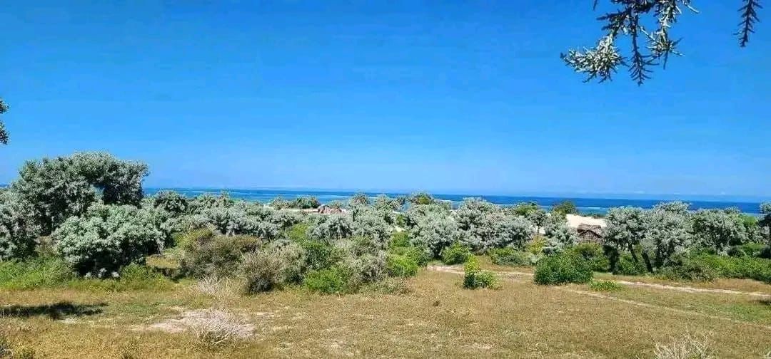 Anakao β Sea view through coastal vegetation
