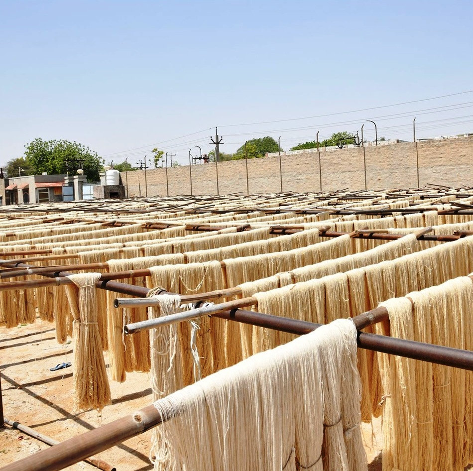 Toliary-II β Sisal rows across the property