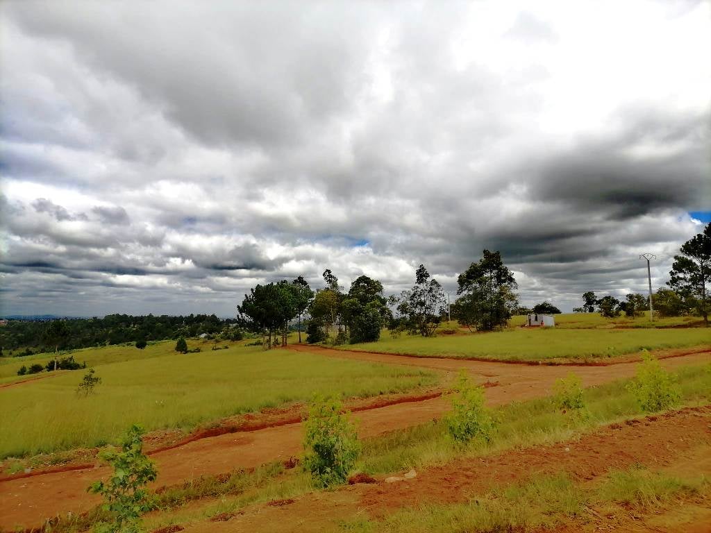 SAHAZA II β Plotted parcels with cleared access roads, Sabotsy Namehana