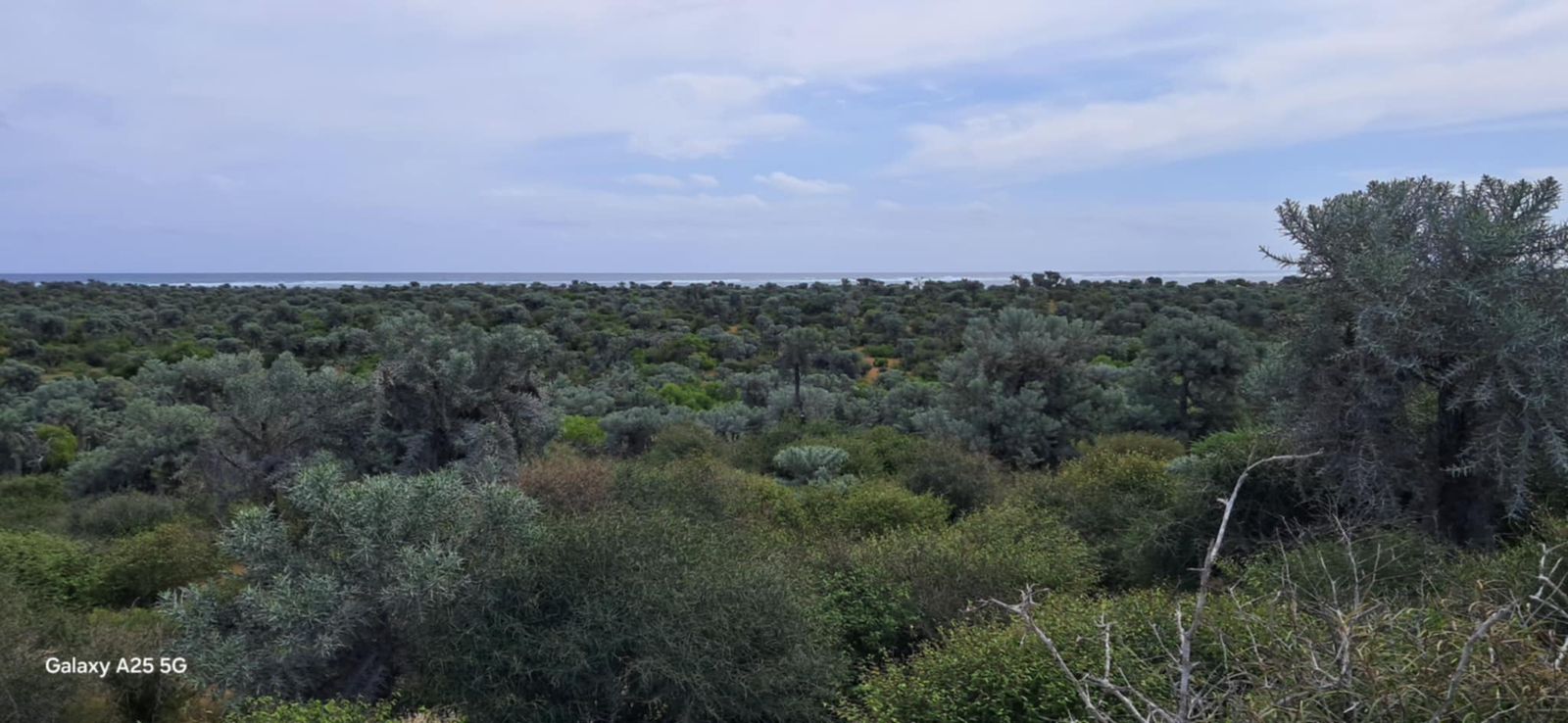 Anakao β Panoramic coastal landscape