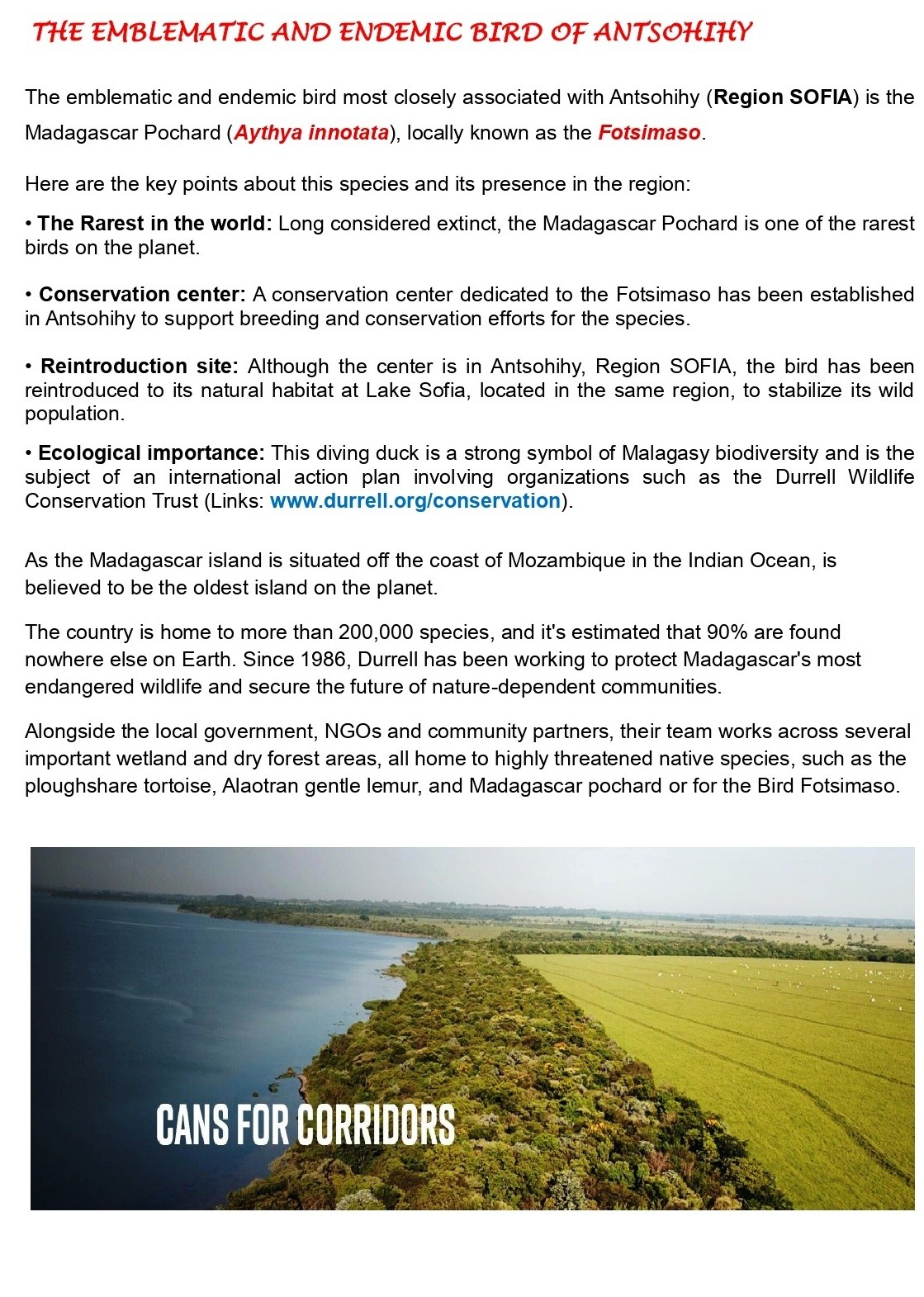 MIKA Antsohihy β Emblematic Madagascar wetlands and birdlife