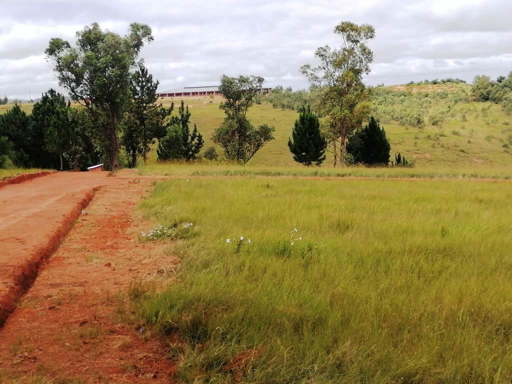 SAHAZA II β Marked plots ready for construction