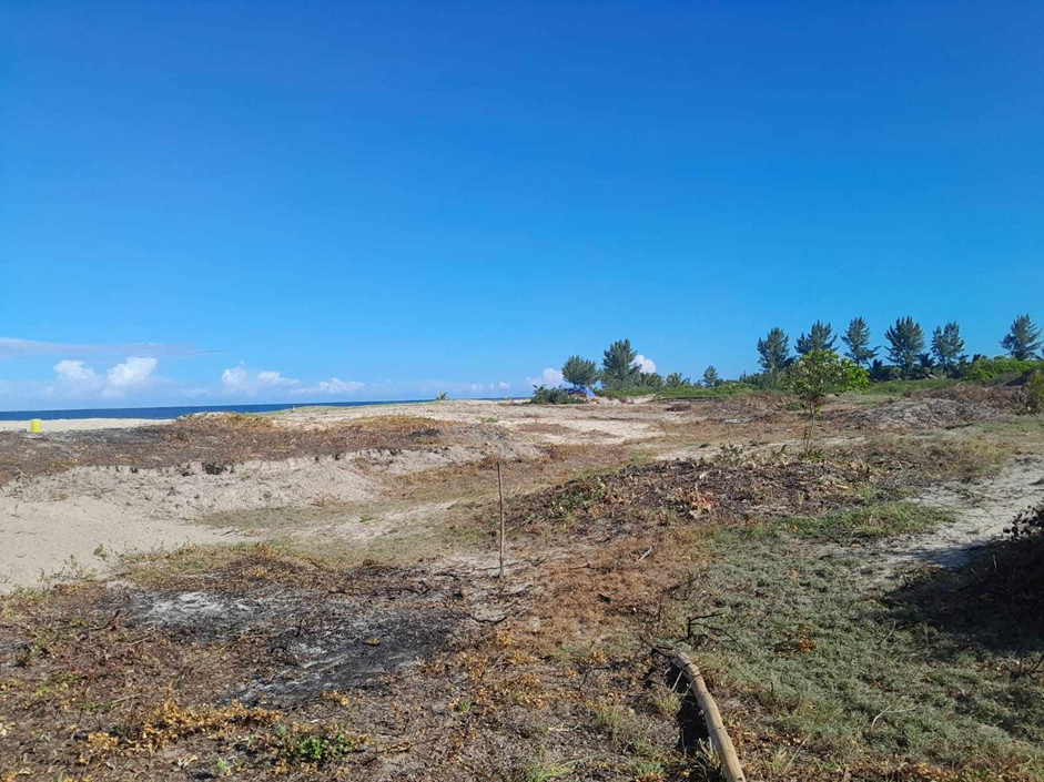 Sainte-Marie β Ampanihy 65 Ha: beachfront panorama with native vegetation