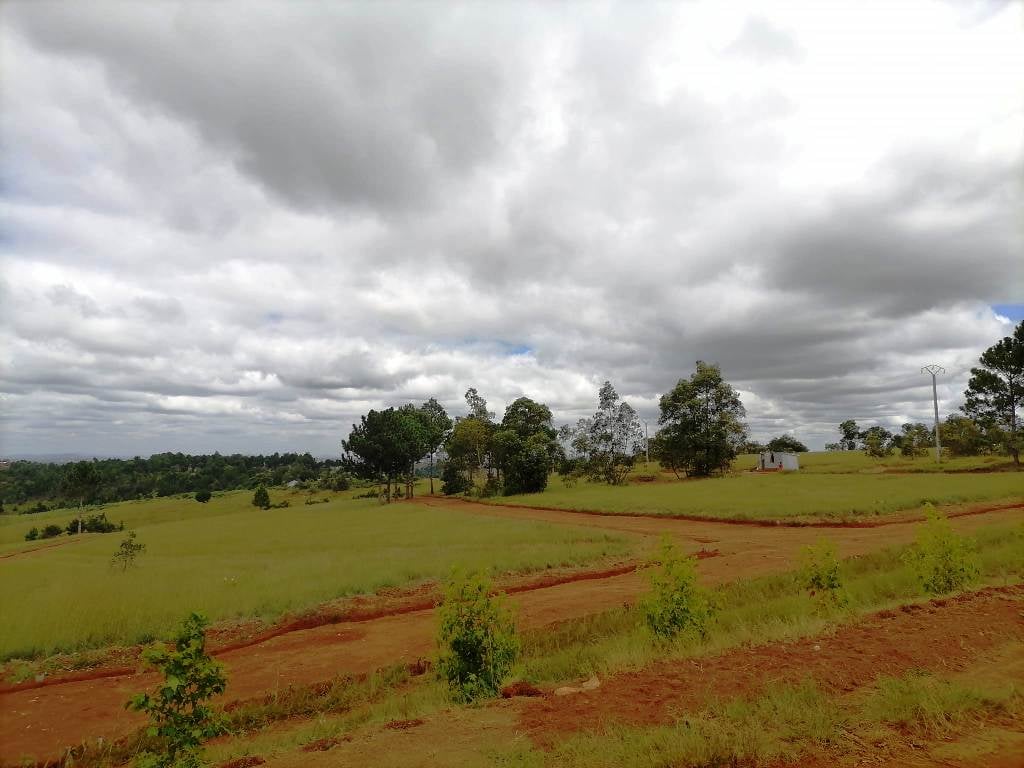 SAHAZA II β Panoramic plots under open sky