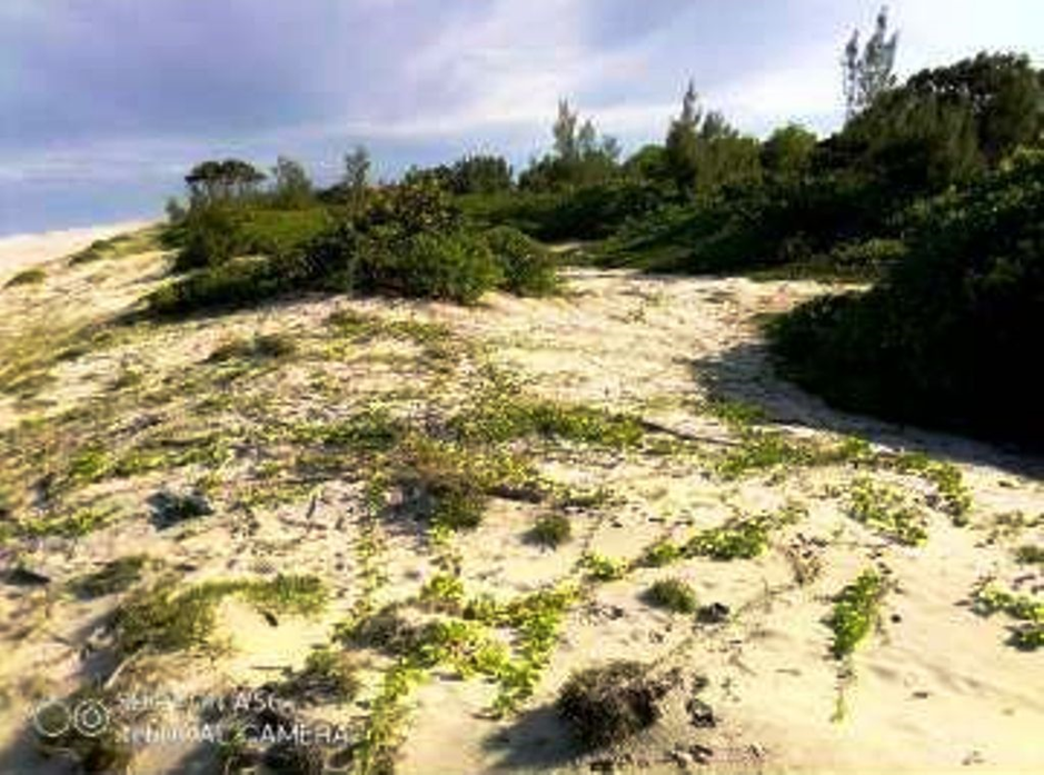 Sainte-Marie β Ampanihy 65 Ha: coastal dune landscape