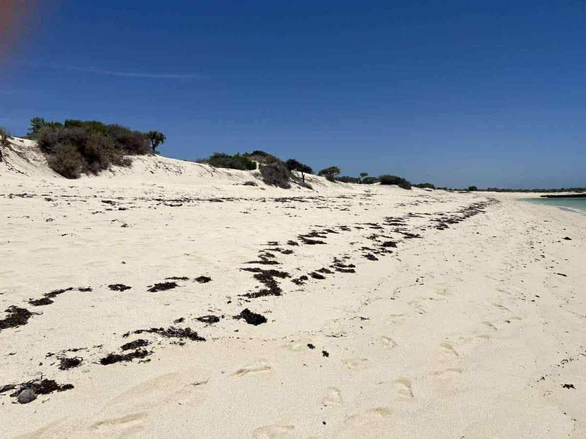 Anakao β Wide private beach at low tide