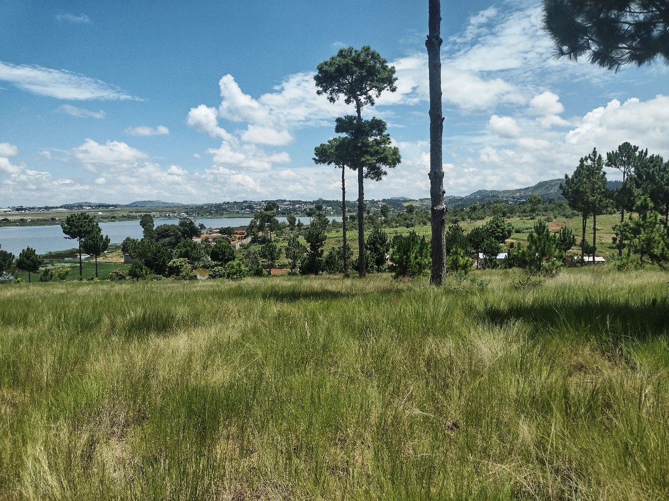 Ambohimarina β ILO MANANA: existing landscaped area on the estate