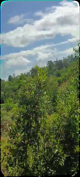 Antetezambaro β Natural landscape near Ambodiatafana