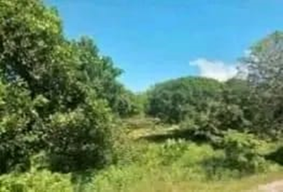 Sainte-Marie β Ampanihy 65 Ha: green inland landscape of the property
