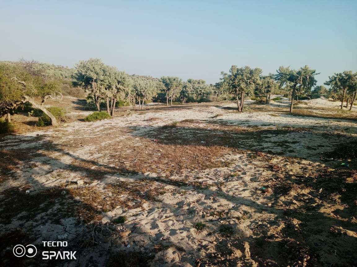 Anakao β Land plot with native trees