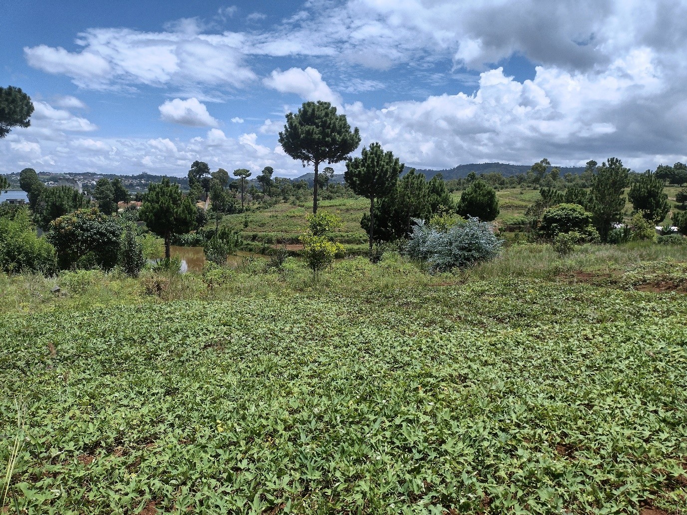 Ambohimarina β ILO MANANA: lake view with existing basin and gardens