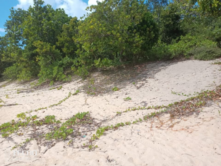Sainte-Marie β Ampanihy 65 Ha: beach access through coastal greenery