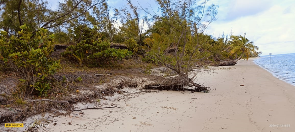 Manompagna β Beachfront with palms and tropical foliage