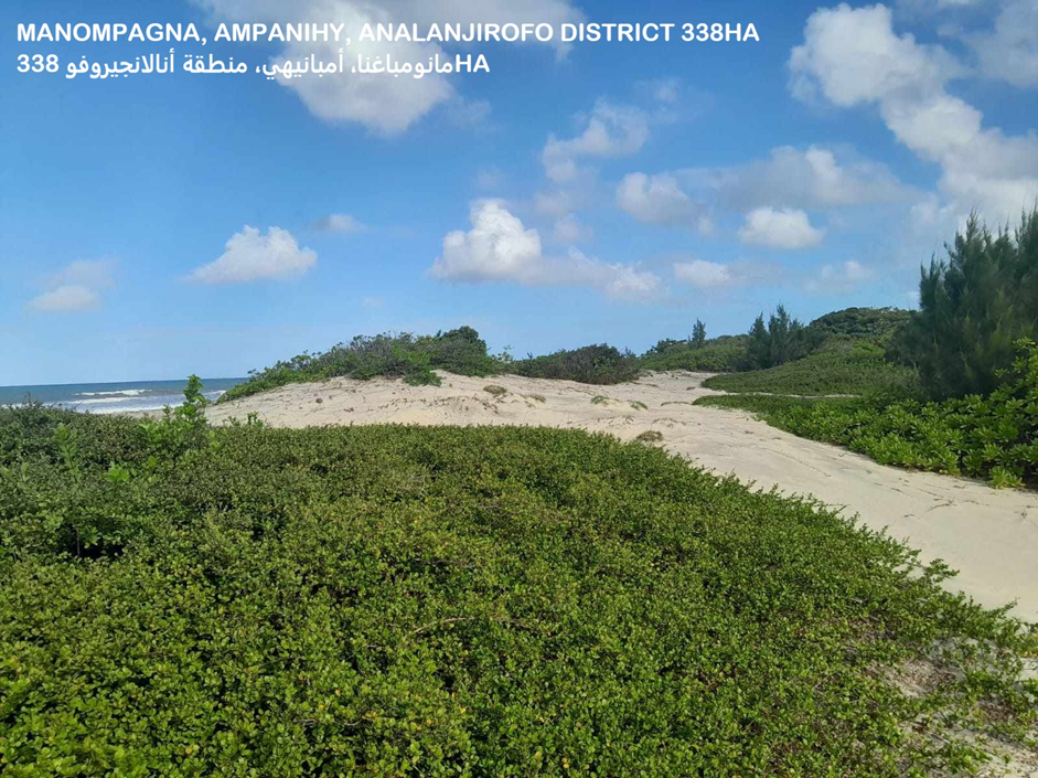 Manompagna β Ampanihy dune and coastal vegetation panorama