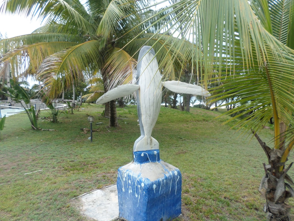 Saint Mary Club β Whale sculpture in the tropical garden by the pool