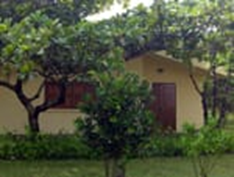 Saint Mary Club β Bungalow exterior surrounded by lush vegetation