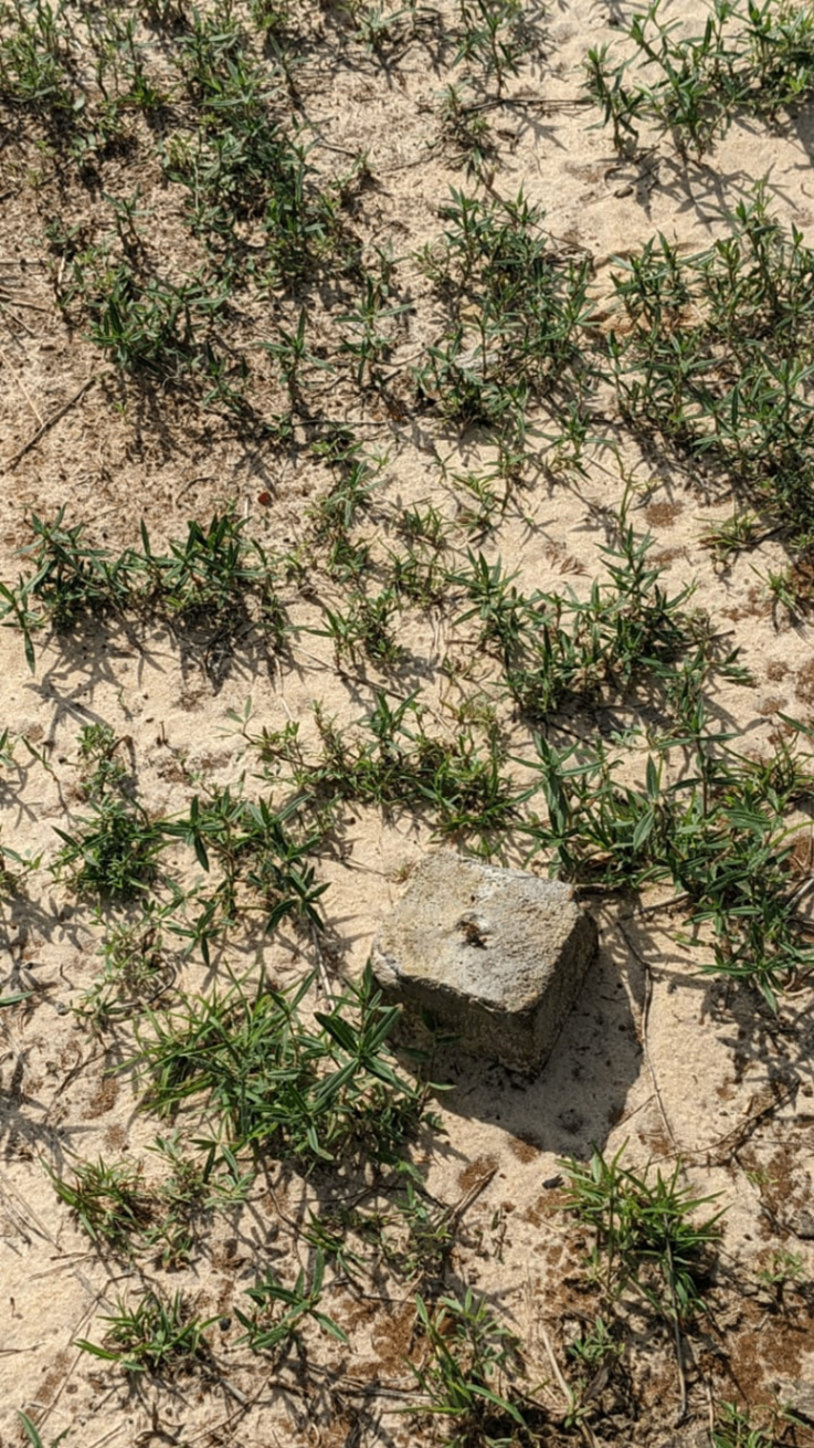 Andohagara β Amborovy Airport: ground marker detail on sandy soil
